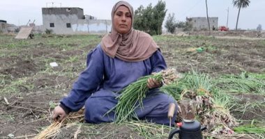 الست دى راجل من الفجر للمغرب بتعافر.. قصة كفاح "عزة" 34 سنة شقيانة فى حقول الشرقية.. تتحدى البرد بابتسامة رضا.. ربت أشقاءها الأيتام مع أبنائها وزوجتهم بعد وفاة الأب وزواج الأم.. وتتمنى زيارة بيت الله.. صور
