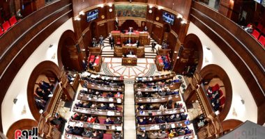 بدء الجلسة العامة لمجلس الشيوخ لمناقشة قانون العمل.. صور