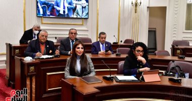 رفع جلسة مجلس الشيوخ نصف ساعة بعد الموافقة مبدئيا على مشروع قانون العمل