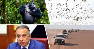 العالم هذا الصباح.. اللقطات الفائزة بالجائزة الدولية لتصوير الطبيعة.. مقتل 6 أشخاص وإصابة آخرين بانفجار لغم أرضى جنوبى العراق.. الطيران الإسرائيلى يقصف مدينة خانيونس جنوب قطاع غزة.. فيديو وصور