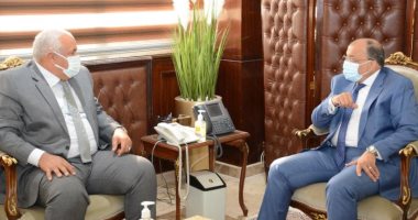 وزير التنمية المحلية يتابع مع محافظ الوادي الجديد مستجدات "الجذب السكانى وحياة كريمة"