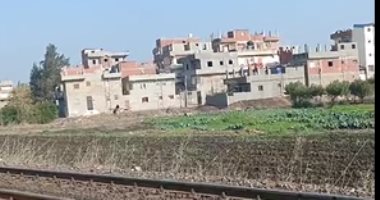 طبيب الدقهلية.. أولى جلسات محاكمة المتهم بقتل زوجته بـ11 طعنة اليوم (فيديو)