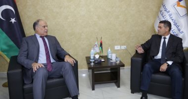 عماد السايح يبحث مع "بوشناف" تداعيات تأجيل العملية الانتخابية فى ليبيا 