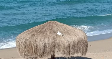 سطوع الشمس واستقرار حالة الطقس بالإسكندرية ..لايف وصور