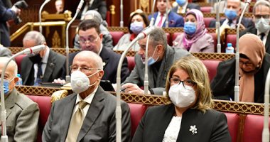 مجلس الشيوخ يوافق على خضوع 5 فئات لأحكام التدريب بمشروع قانون العمل