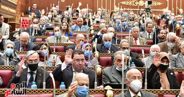 مجلس الشيوخ يقر استحقاق العاملين علاوة سنوية دورية لا تقل عن 3%