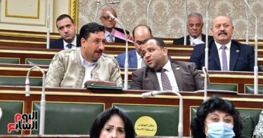 مجلس النواب يوافق على المادة المحددة لنطاق تطبيق قانون التخطيط