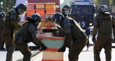 حرب العسل.. محتجون يطلقون 10 آلاف نحلة أمام قصر رئيس تشيلى.. صور وفيديو