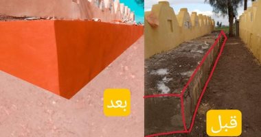 شباب "الرملية" فى الغربية ينظفون ويطورن شوارع القرية