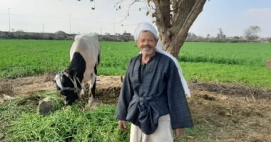 من يومى شقيان بس مستورة.. عم "رمضان" 75 عام وشعاره "العمل عبادة".. أكثر من 55 عاما يعمل فى الحقل بمفرده.. ويؤكد : عملت بالحقول بأجر 8 صاغ والغيط حياتى ولو قعدت فى البيت أمرض.. فيديو وصور