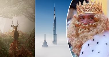 العالم هذا الصباح.. العالم فى صورة.. جائزة إبسون الدولية للتصوير تعرض اللقطات الفائزة ببانوراما الطبيعة..التاريخ على جذوع الشجر.. سحر غابات إنجلترا العتيقة..إسبانيا تحتفل بملوك المجوس وسط الإجراءات الوقائية
