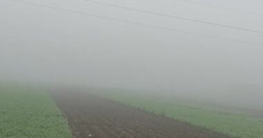 الشبورة المائية تكسى سماء محافظة المنوفية.. لايف