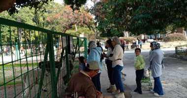 فرحة أعياد الميلاد.. زحام فى حديقة الحيوان بالإسكندرية تصوير ورسم.. لايف