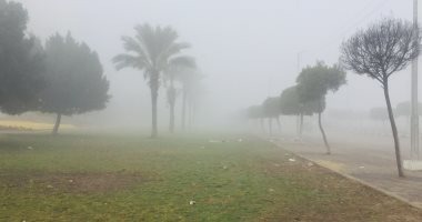 متشوفش كف إيدك من الشبورة.. غلق طريق "الإسماعيلية - القاهرة".. لايف وصور