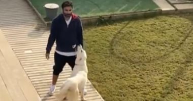 بحاول أضيع وقت.. أحمد فهمى يلعب مع كلابه خلال عزل كورونا.. فيديو