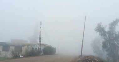 طقس بارد وشبورة كثيفة تحجب الرؤية بالشرقية.. فيديو لايف