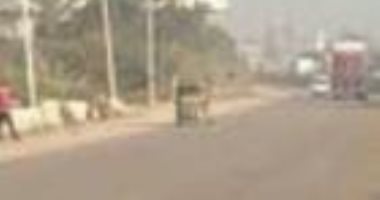 انكسار الشبورة على الطريق الدولى الساحلى وفتح كمين مطوبس.. صور