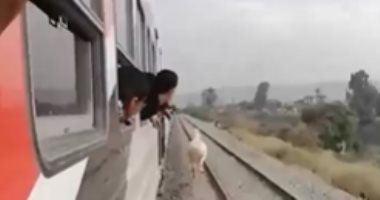 مشهد يحبس الأنفاس.. حصان يجرى بسرعة جنونية بين قطارين فى أسيوط