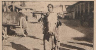 صور عمرها 97 عاما.. جولة فى سلخانة بالقاهرة