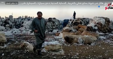 السيطرة على حريق شونة القطن بالغربية وندب الأدلة الجنائية لبيان أسبابه.. فيديو