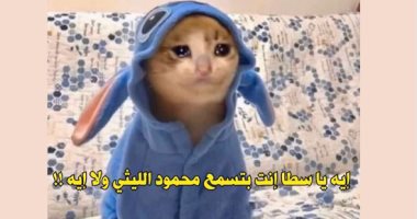 "بتسمع الليثى ولا إيه؟"المصريون يستقبلون الزلزال بـ كوميكسات السوشيال ميديا