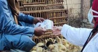 تحصين 213 ألف طائر بالشرقية ضد أنفلونزا الطيور و توعية المربين بمخاطره  