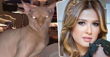 على طريقة قط ياسمين عبد العزيز .. أغرب الحيوانات التى يمتلكها المشاهير 