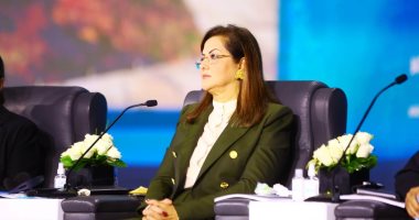 التخطيط: التعاون مع صندوق النقد مستمر والشق التمويلى لم يحدد حتى الآن