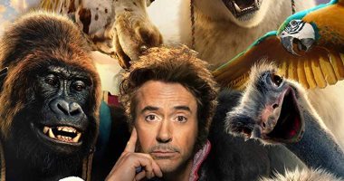 بنرشحلك 5 أفلام حلوة للويك إند .. ما بين البطولة النسائية والرسوم المتحركة