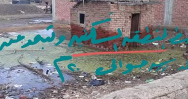 قارئ يشكو من انتشار مياه الصرف الصحى بقرية كفر قرطام بالغربية..ورئيس المدينة يرد