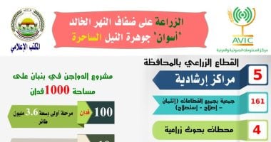 "الزراعة" على ضفاف النهر الخالد.. "أسوان" جوهرة النيل الساحرة.. إنفوجراف