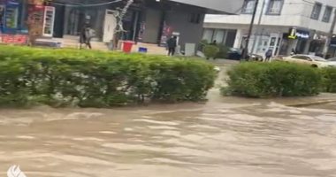 اليمن: 77 قتيلا ضحايا الأمطار والسيول وتأهب لمواجهة الجراد
