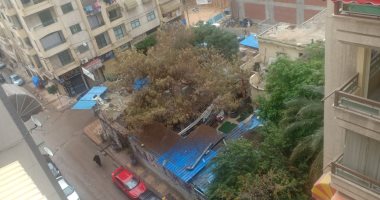 أمطار تضرب الإسكندرية أول أيام نوة الفيضة الكبرى.. لايف