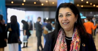 الصحة العالمية: توجد بعوضتان بالعالم واحدة تسبب الملاريا وأخرى تسبب 6 أمراض