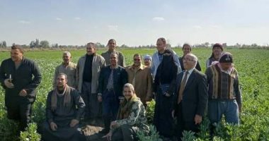زراعة الشرقية تنفذ مدرسة حقلية عن محصول الفول البلدى بجمعية أبو سليم بأبو كبير