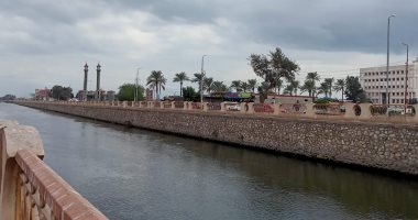 سماء ملبدة بالغيوم وبرودة وهبوب رياح شديدة بكفر الشيخ.. فيديو لايف