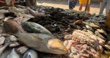 السيجان بـ 35 والبياض بـ 50 جنيها.. أسعار الأسماك اليوم بحلقة الغردقة.. لايف