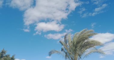طقس المنيا الآن.. غيوم فى مختلف الأنحاء وظهور متقطع للشمس.. فيديو لايف