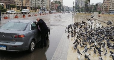 حمام الشهداء يرفرف تحت الأمطار بمحافظة بورسعيد.. صور 