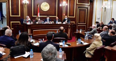 صحة الشيوخ تناقش أزمة الزيادة السكانية بحضور "التنمية المحلية وحقوق الإنسان"