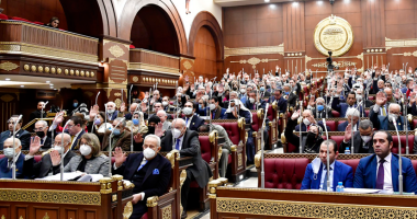 النائب حسام الخولى: منتدى شباب العالم عكس القوة التنظيمية للدولة فى ظل الجائحة