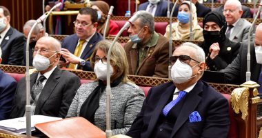 مجلس الشيوخ يقر مواد تنظيم عمل الأجانب.. شرط المعاملة بالمثل 