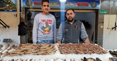 مملكة السمك أشكال وألوان .. موسم صيد الأسماك فى بورسعيد 