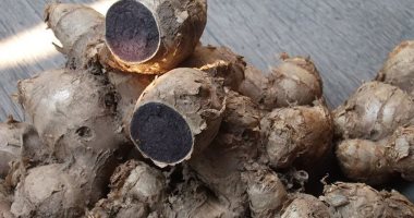 تعرف على المكمل الطبيعى للتخلص من دهون البطن وإنقاص الوزن