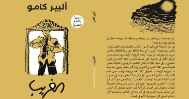 الترجمة للعامية.. مترجمون يقيمون التجربة: ما الهدف؟ 