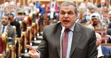 رئيس "قوى عاملة النواب" يوصي بدعم العمالة غير المنتظمة وبرامج التدريب المهنى