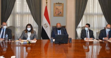 شكرى يشارك بالاجتماع التشاورى بين مجلس السلم الإفريقى وأعضاء مجلس الأمن