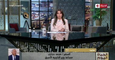 حسام زكى: الصراعات فى المنطقة تستدعى تعزيز قدرة الدبلوماسية العربية من أجل التصدى