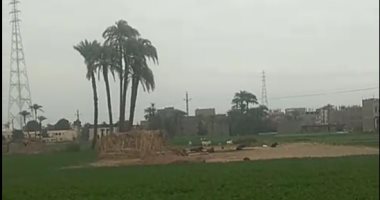 طقس قنا الآن.. برودة وأجواء غائمة على جميع الأنحاء.. فيديو لايف