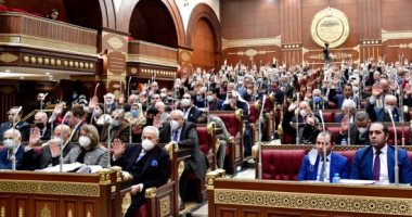 قانون العمل الجديد.. اقتراح بحظر تشغيل الأطفال فى الأعمال الخطرة يثير الجدل بـ"الشيوخ".. عضو بتنسيقية الشباب: هناك أطفال يعملون بالمناجم والمحاجر والورش.. ورئيس الشيوخ: قانون الطفل بمثابة ضابط هام